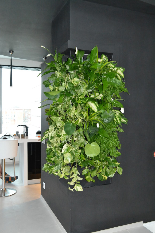 Азбука цветовода: Правила ухода за вертикальным садом