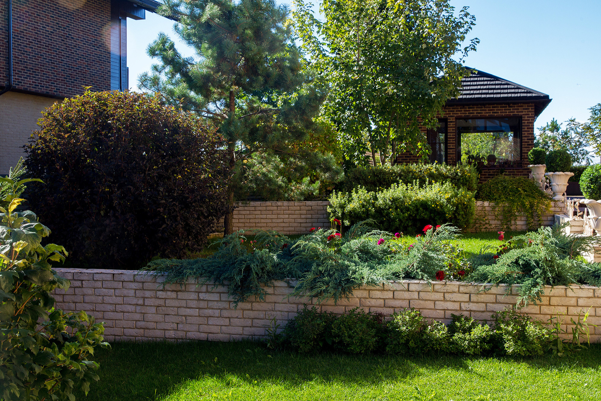 В гостях: Подмосковный сад со средиземноморским характером