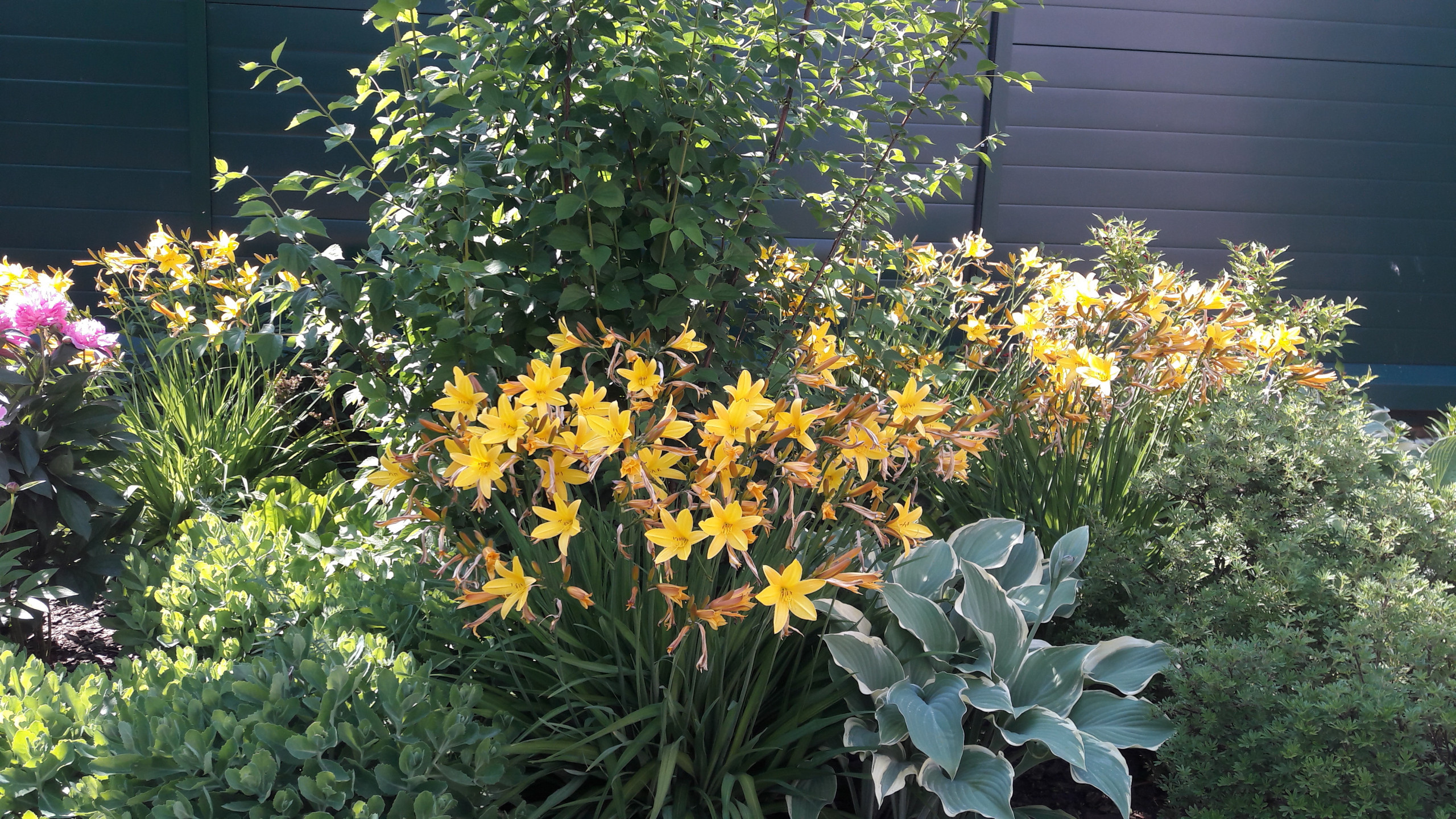 В гостях: Садик в подмосковных Рыбаках — как во Франции