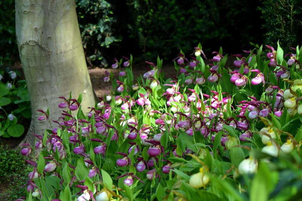 Проект недели: Сад русского дизайнера в нормандском Этретa