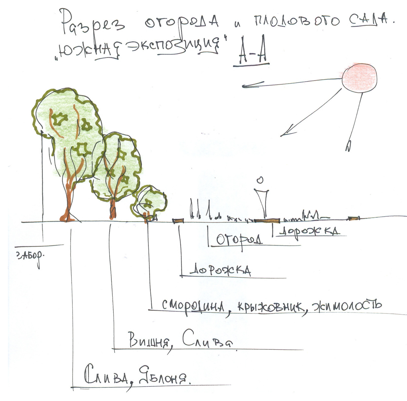 Как правильно: Сделать декоративный огород