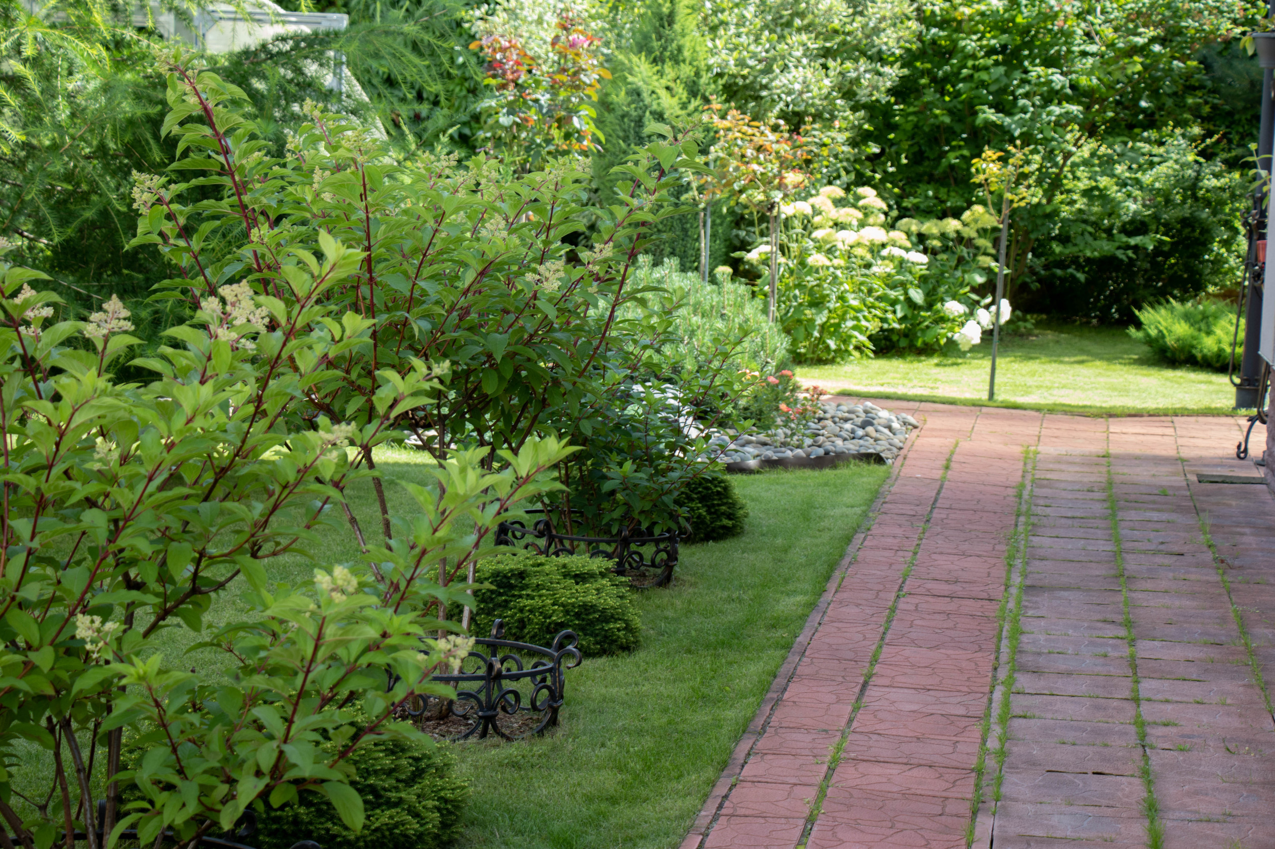 В гостях: Садик в подмосковных Рыбаках — как во Франции