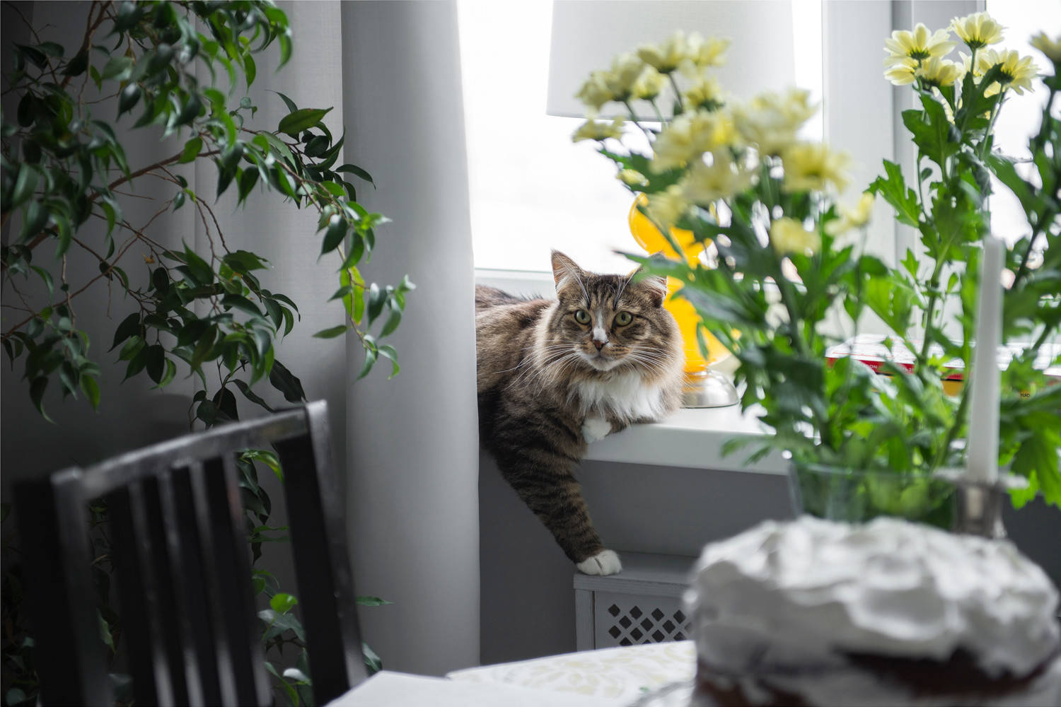 В гостях: Творческий подход декоратора к собственному интерьеру