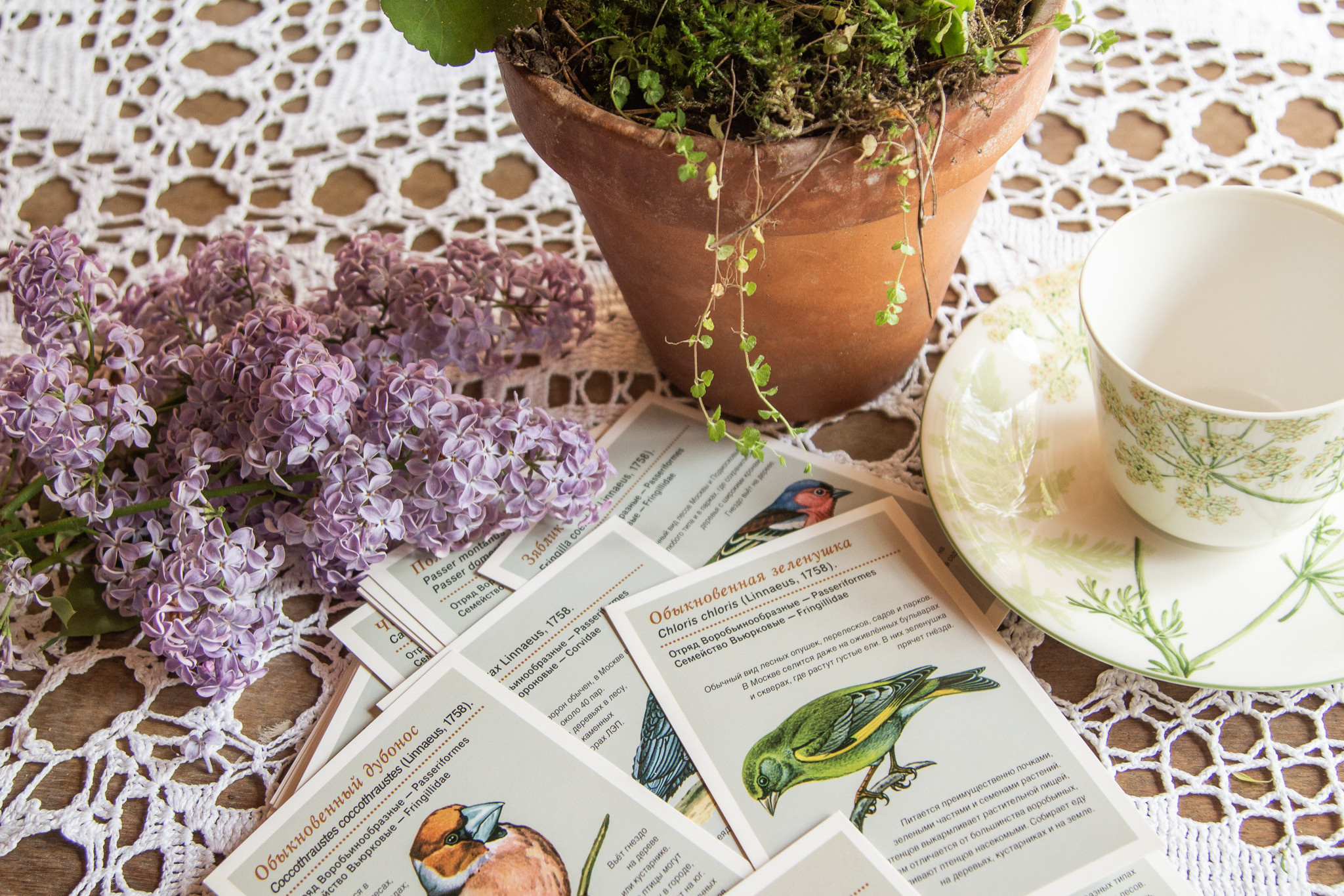 В гостях: Советская дача дизайнера Наташи Ломейко