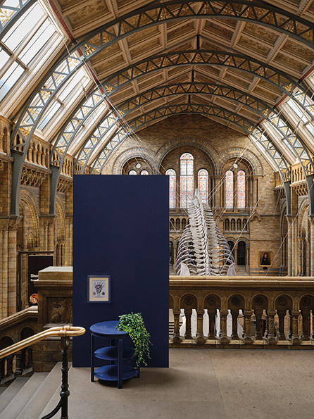 Цвета 2020 года — сразу восемь от разных компаний