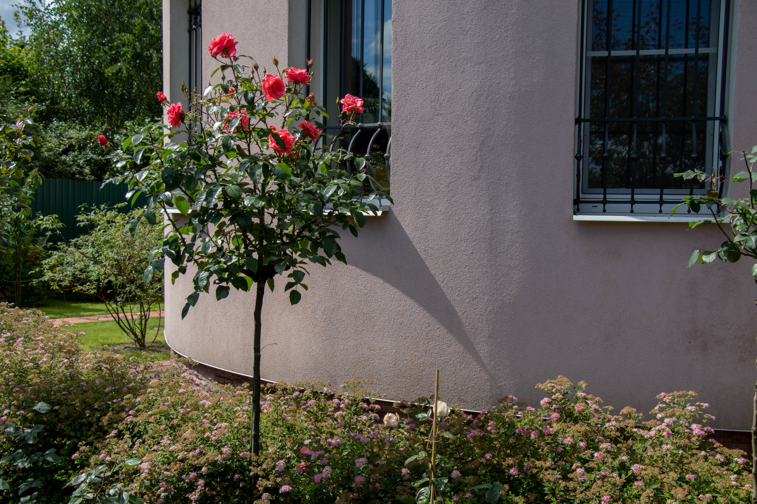 В гостях: Садик в подмосковных Рыбаках — как во Франции