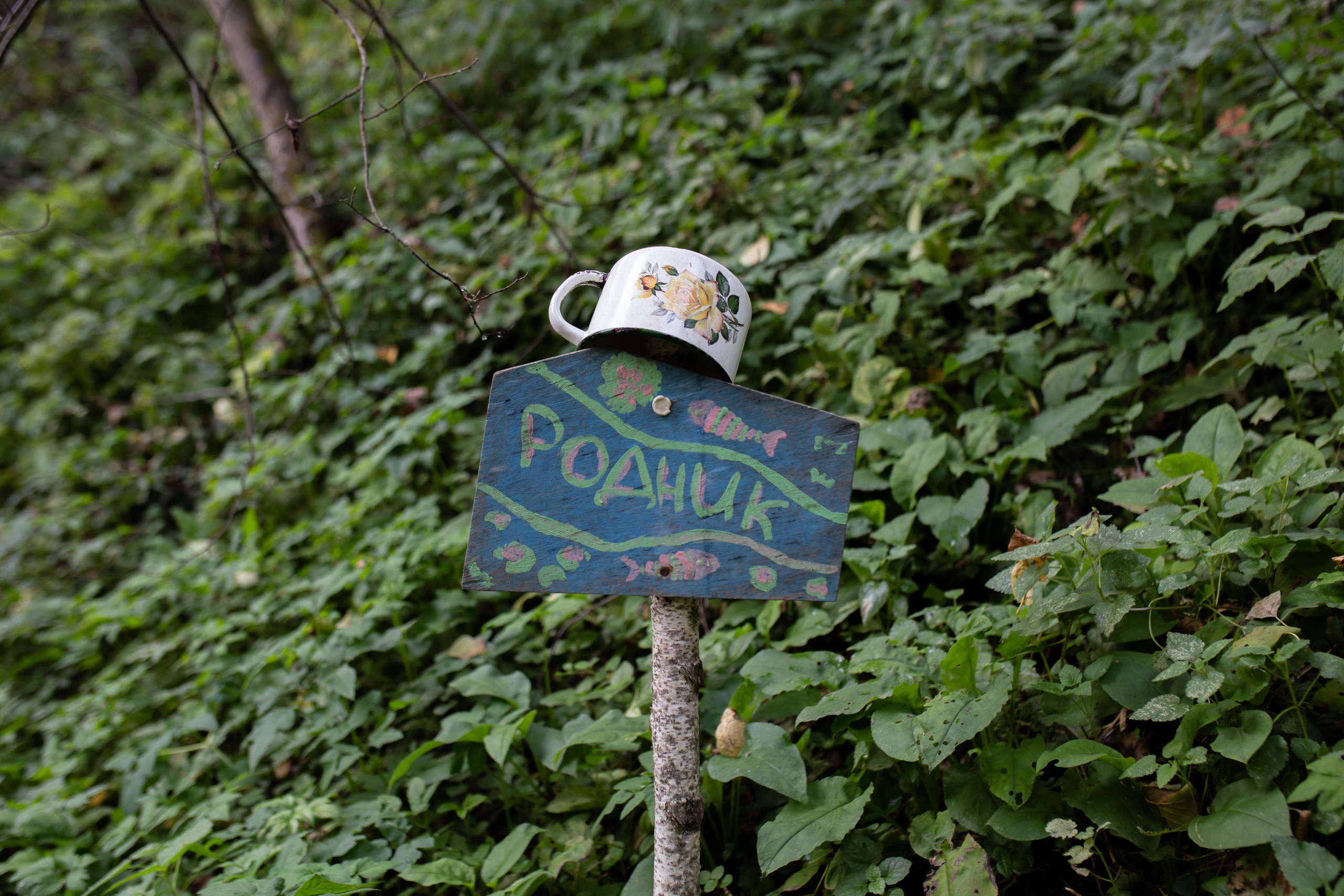 В гостях: Соломенный дом, вдохновленный Зеленой школой на Бали