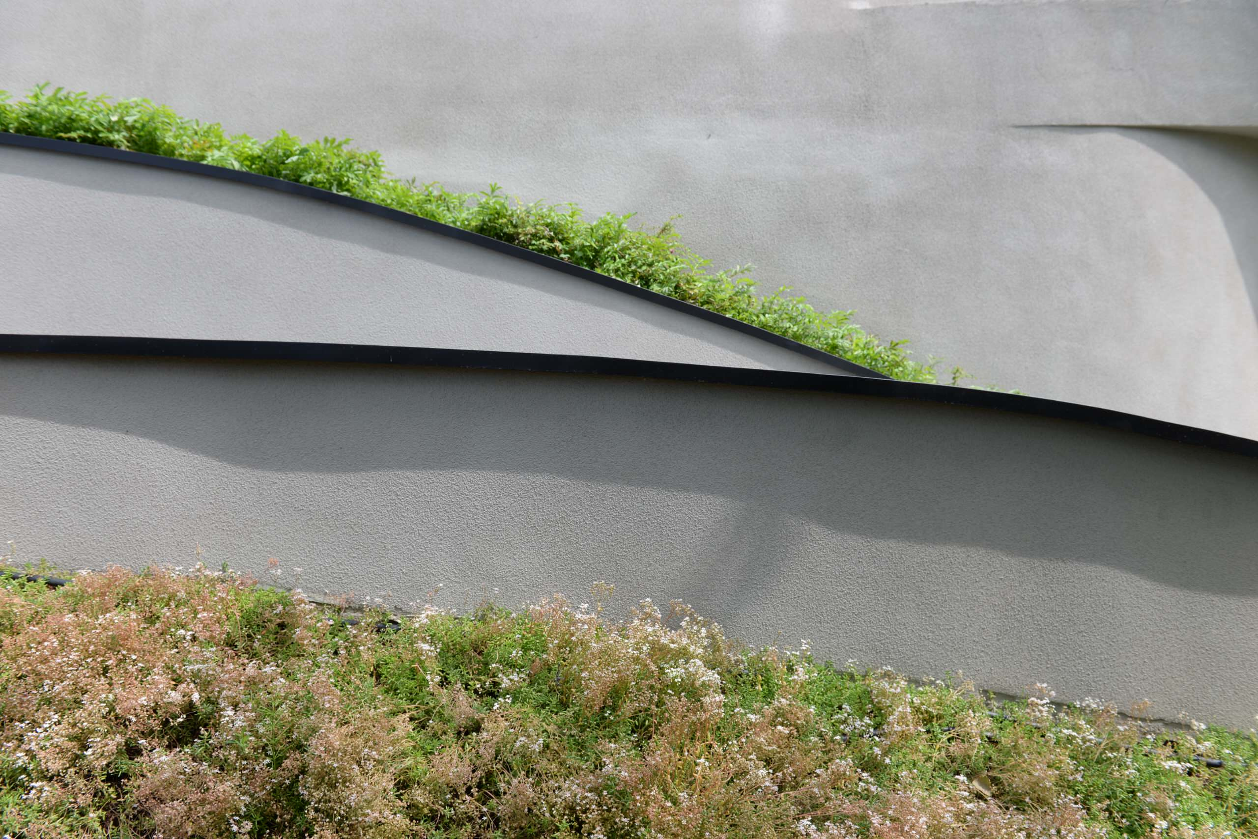 Проект недели: Сад для уникального биодома