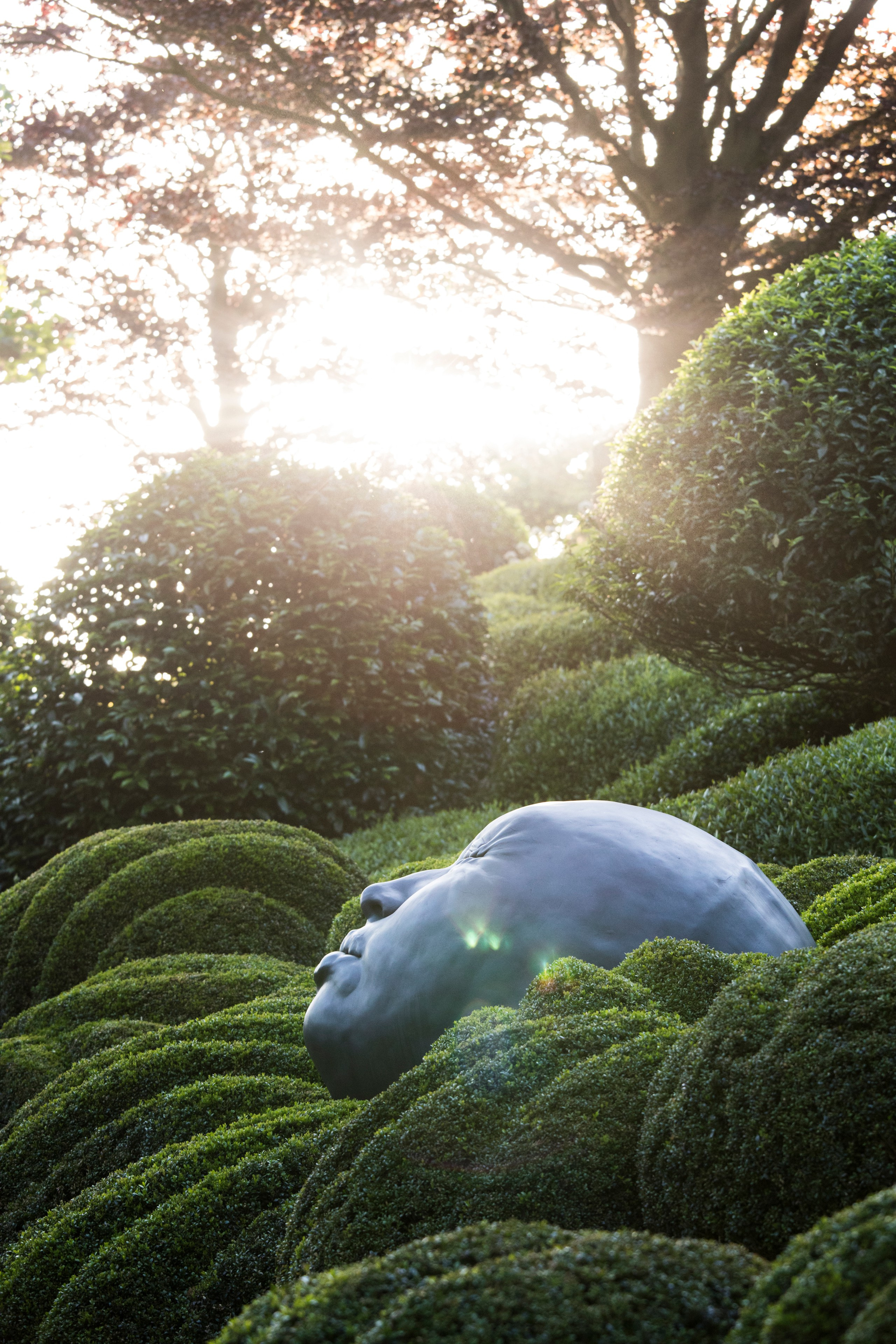 Проект недели: Сад русского дизайнера в нормандском Этретa