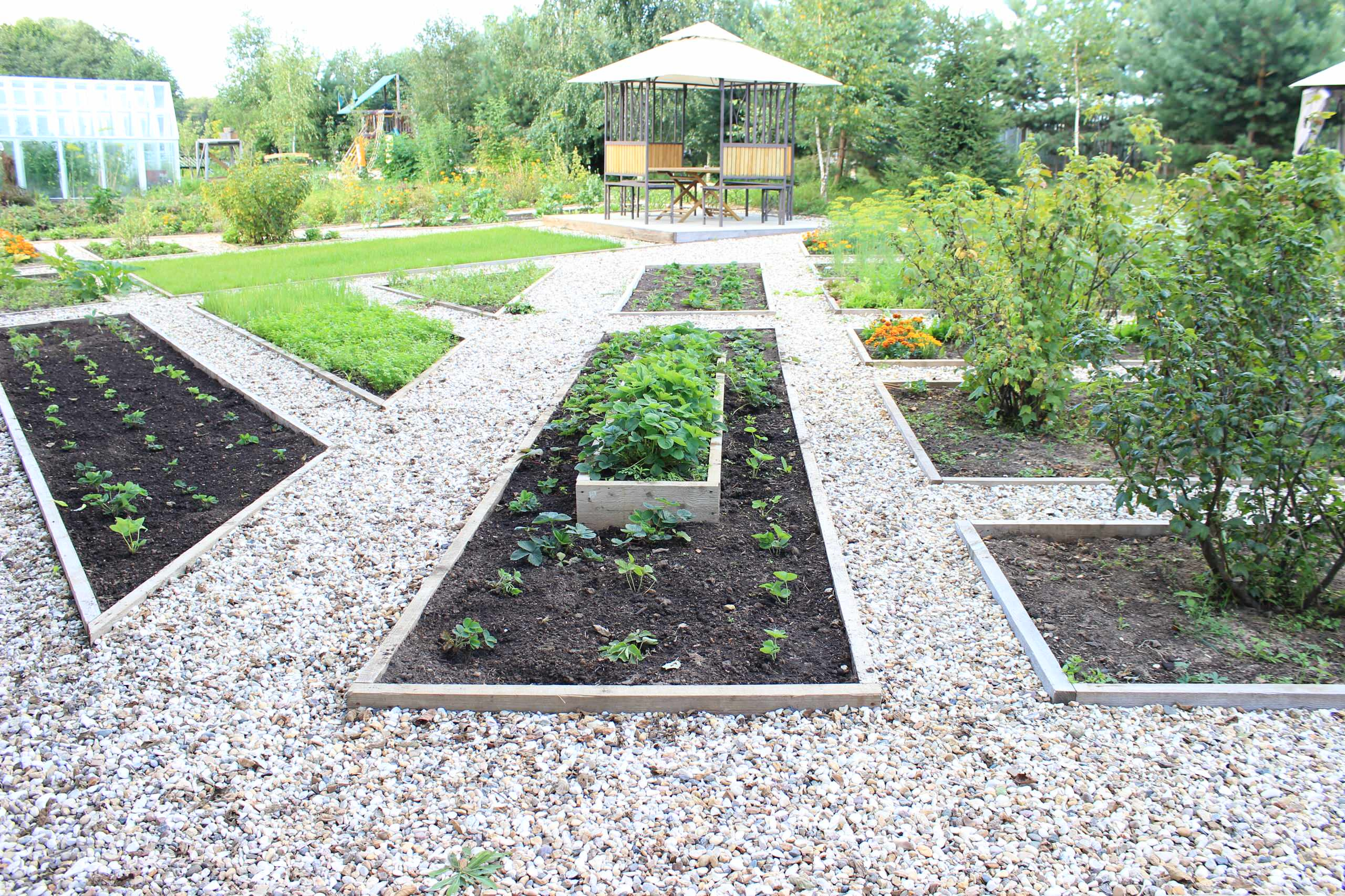 Как правильно: Сделать декоративный огород