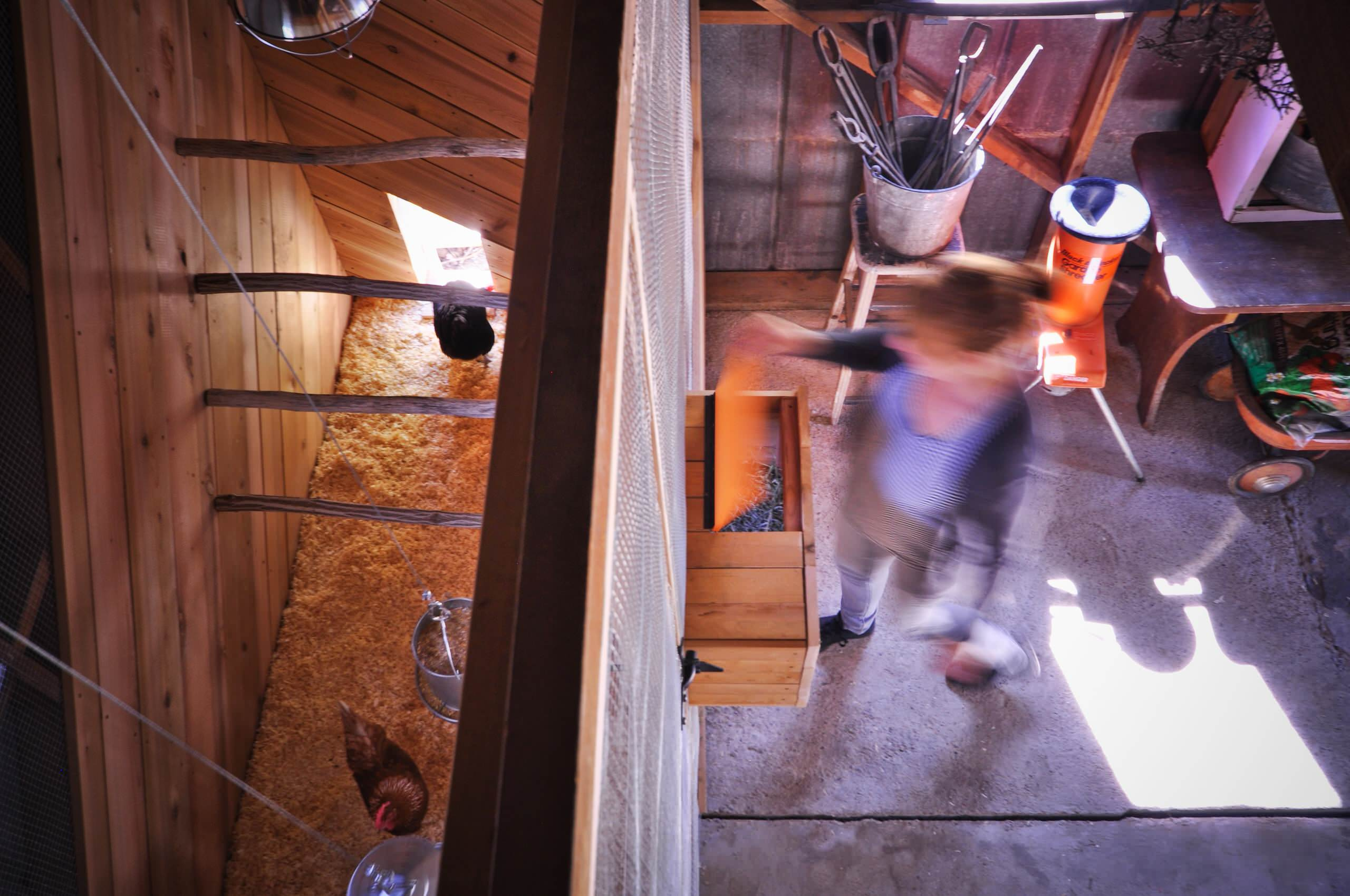 Вопрос: Как построить курятник своими руками