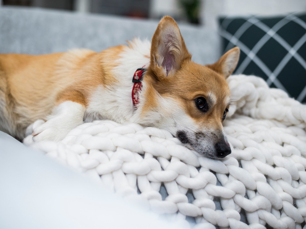 В гостях: Творческий подход декоратора к собственному интерьеру