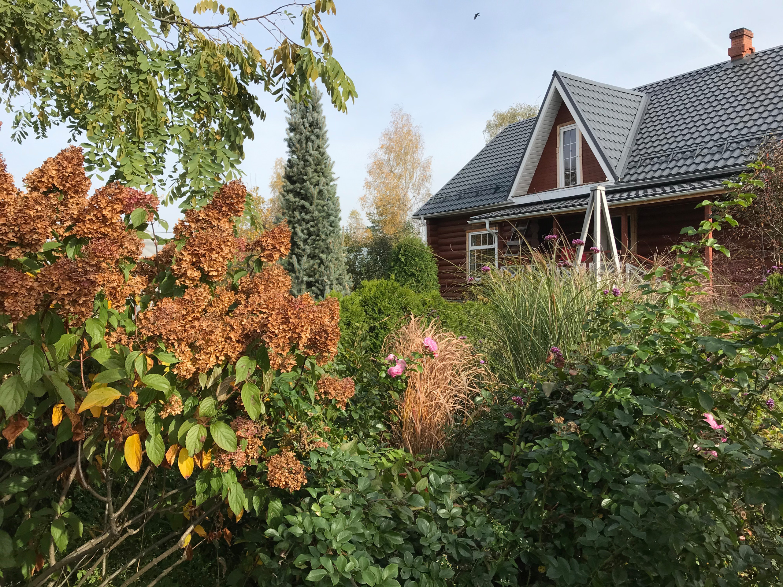 В гостях: Уютный сад с прудом на песках от выгоревшего торфа