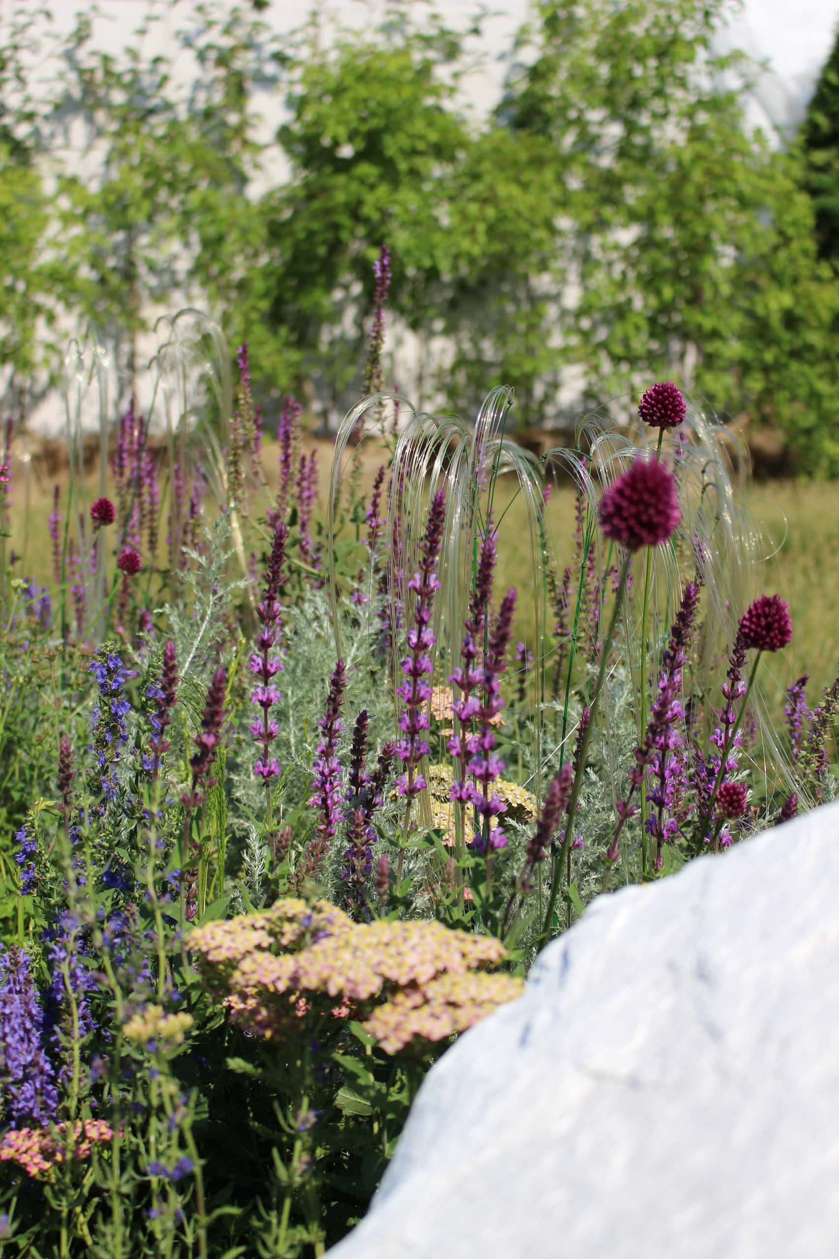 Проект недели: Серебряный ветер в саду из Белгорода