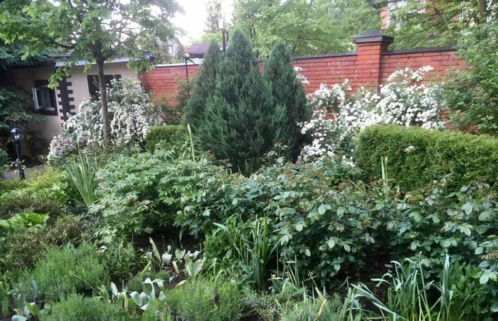 В гостях: Сад на 14 сотках, где живут круглый год