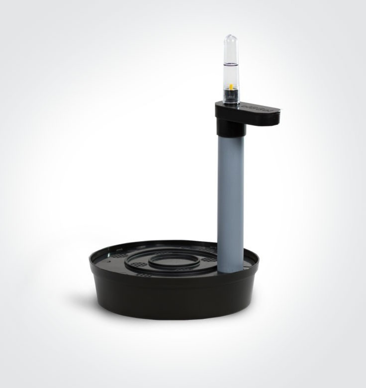 Четыре способа поливать цветы, когда вас нет дома