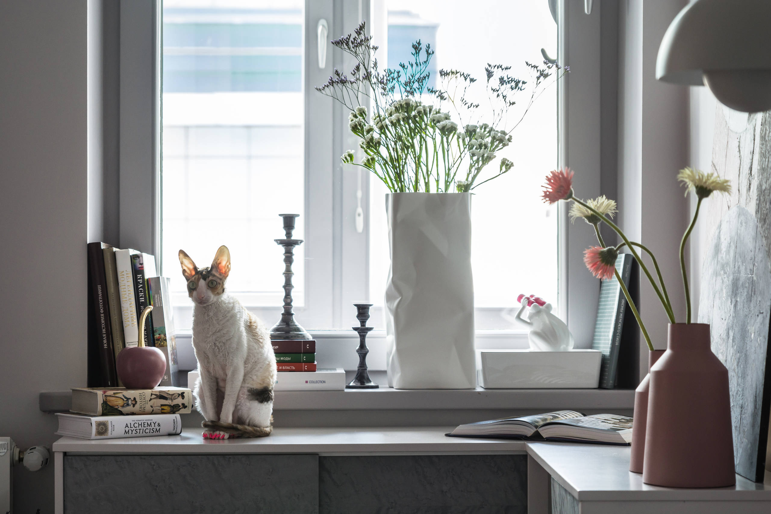 Houzz тур: «Голландская» квартира в Новосибирске