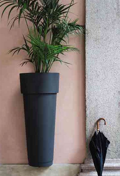 Если подоконник занят: Как озеленить квартиру иначе?