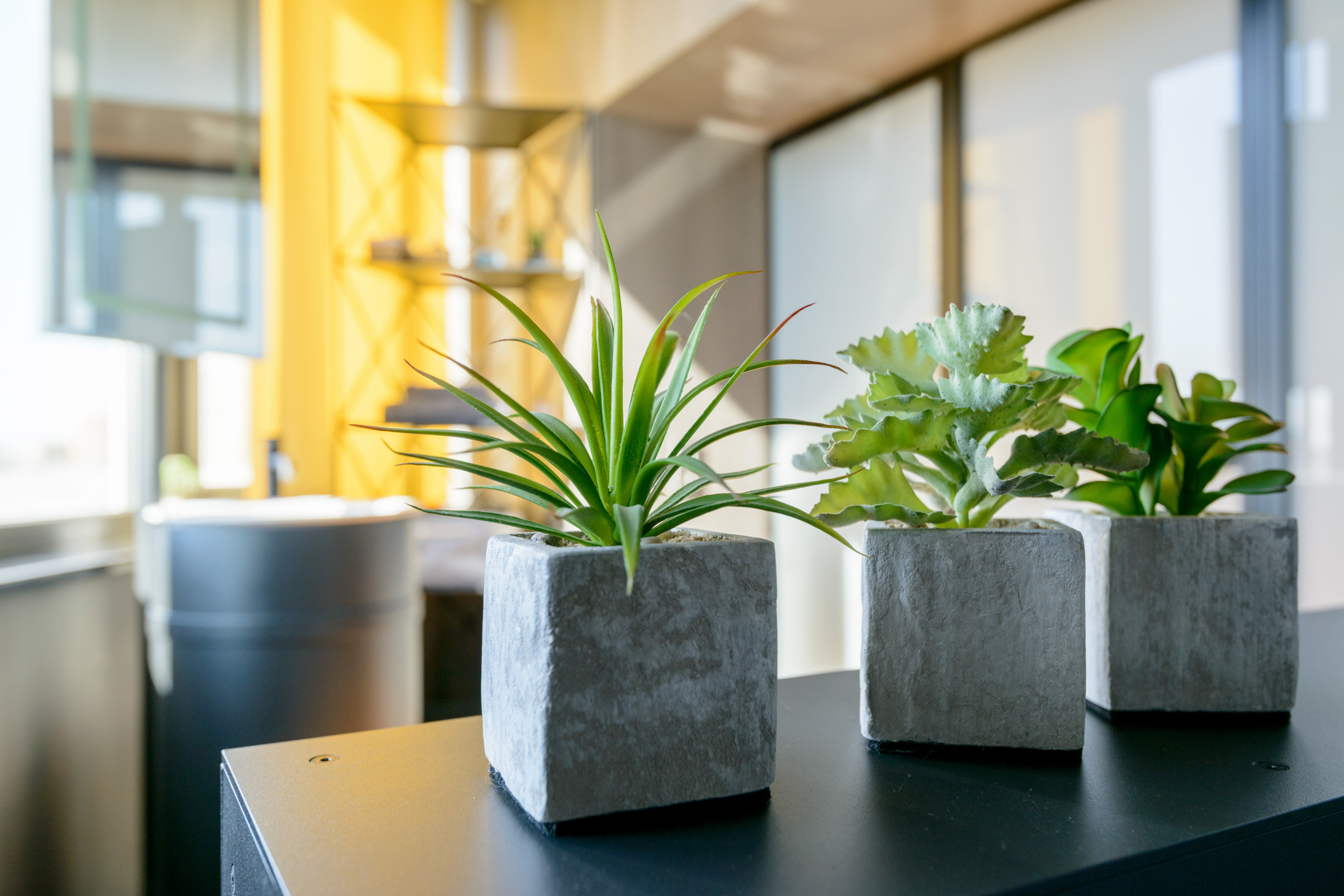 Houzz тур: Треугольная квартира в Новосибирске без стереотипов