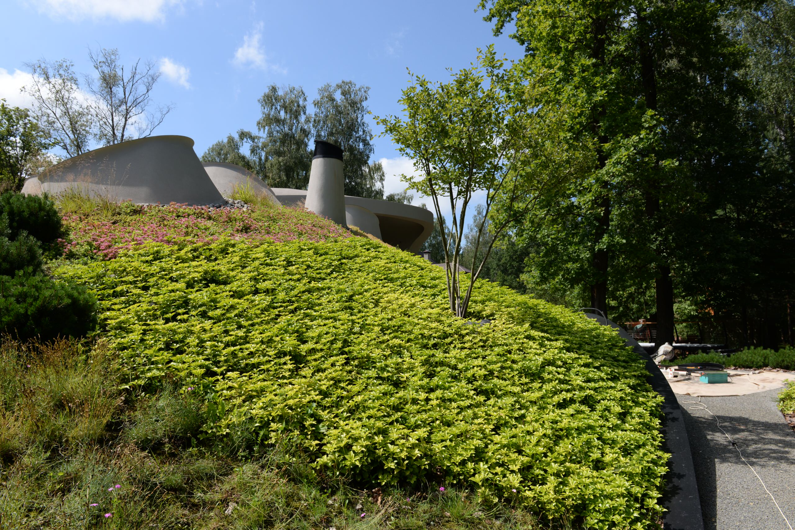 Проект недели: Сад для уникального биодома