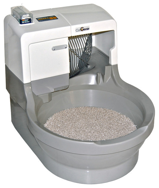 Задача дизайнеру: 8 неожиданных запросов от хозяев животных