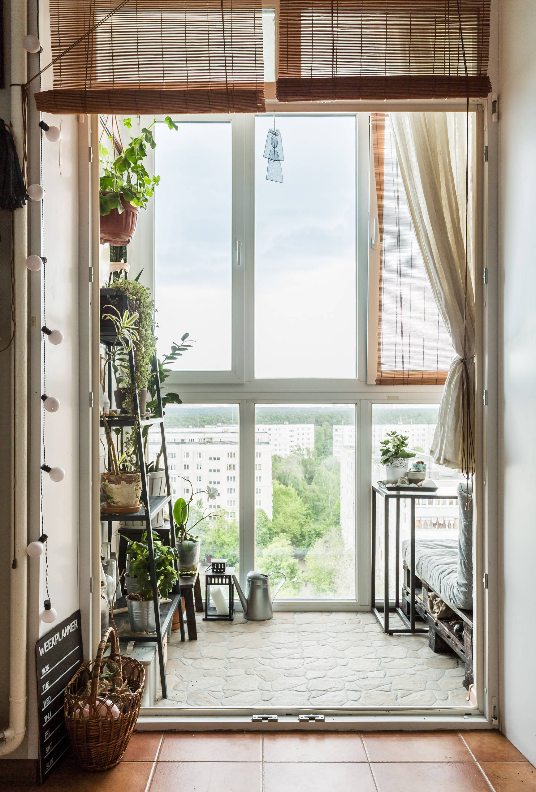 В гостях: Джунгли на балконе — студия 49 кв.м в Жуковском