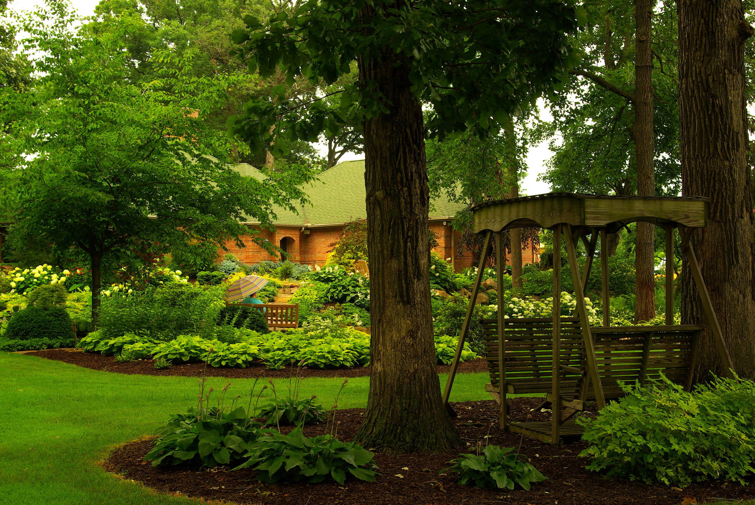 Как правильно: Выбрать деревья для будущего сада