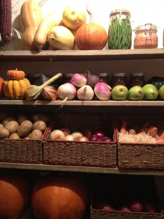 Хороший вопрос: Чем заняться садоводу зимой