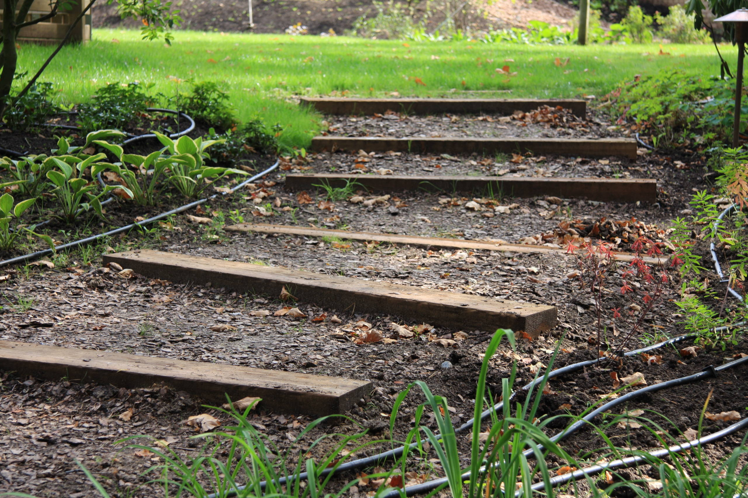 Как правильно: Вырастить «живые ступени»