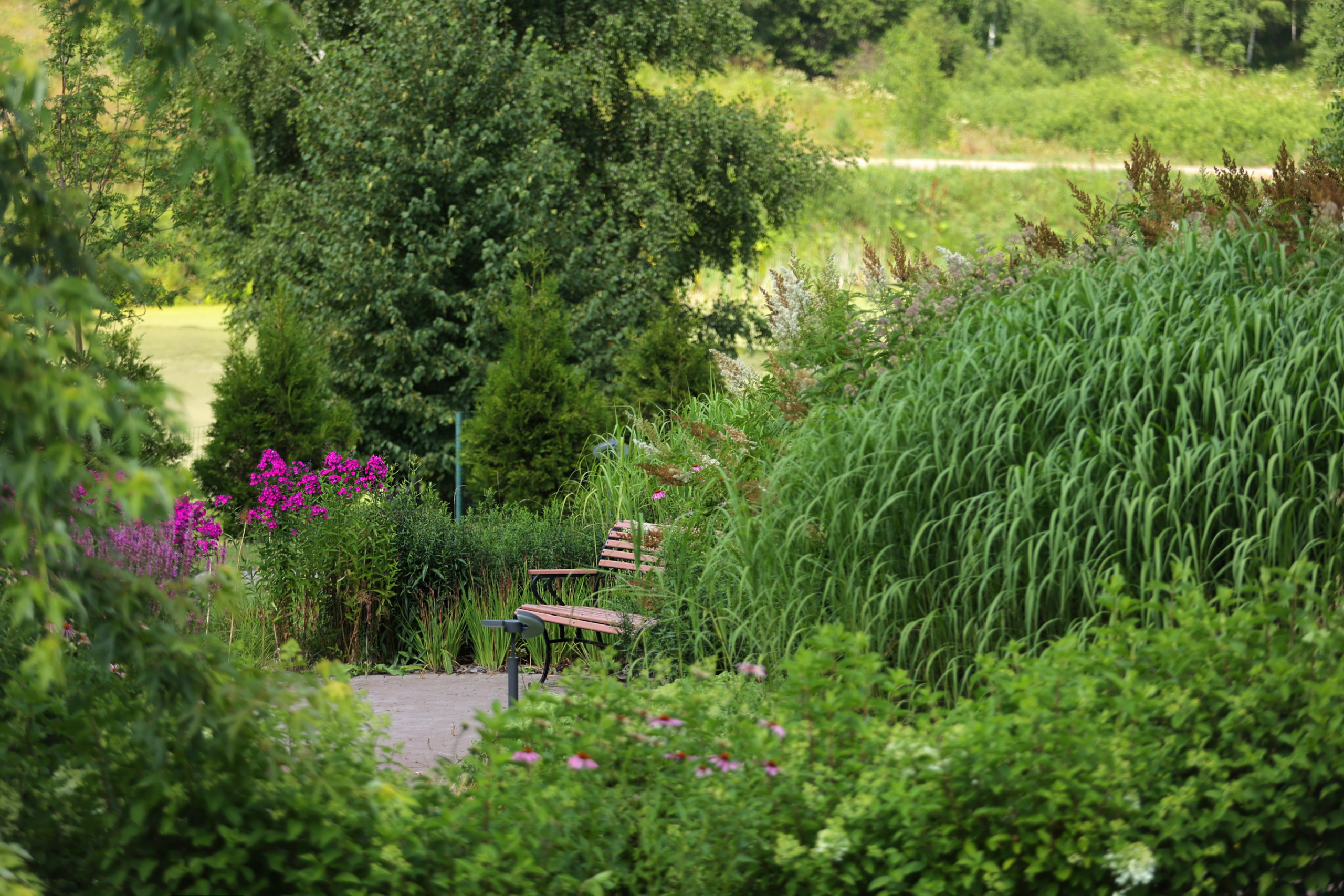 В гостях: Переделка природного сада у каскада прудов