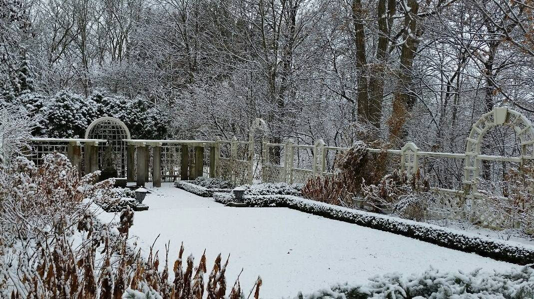 Вопрос: Какие работы важно проводить в саду зимой