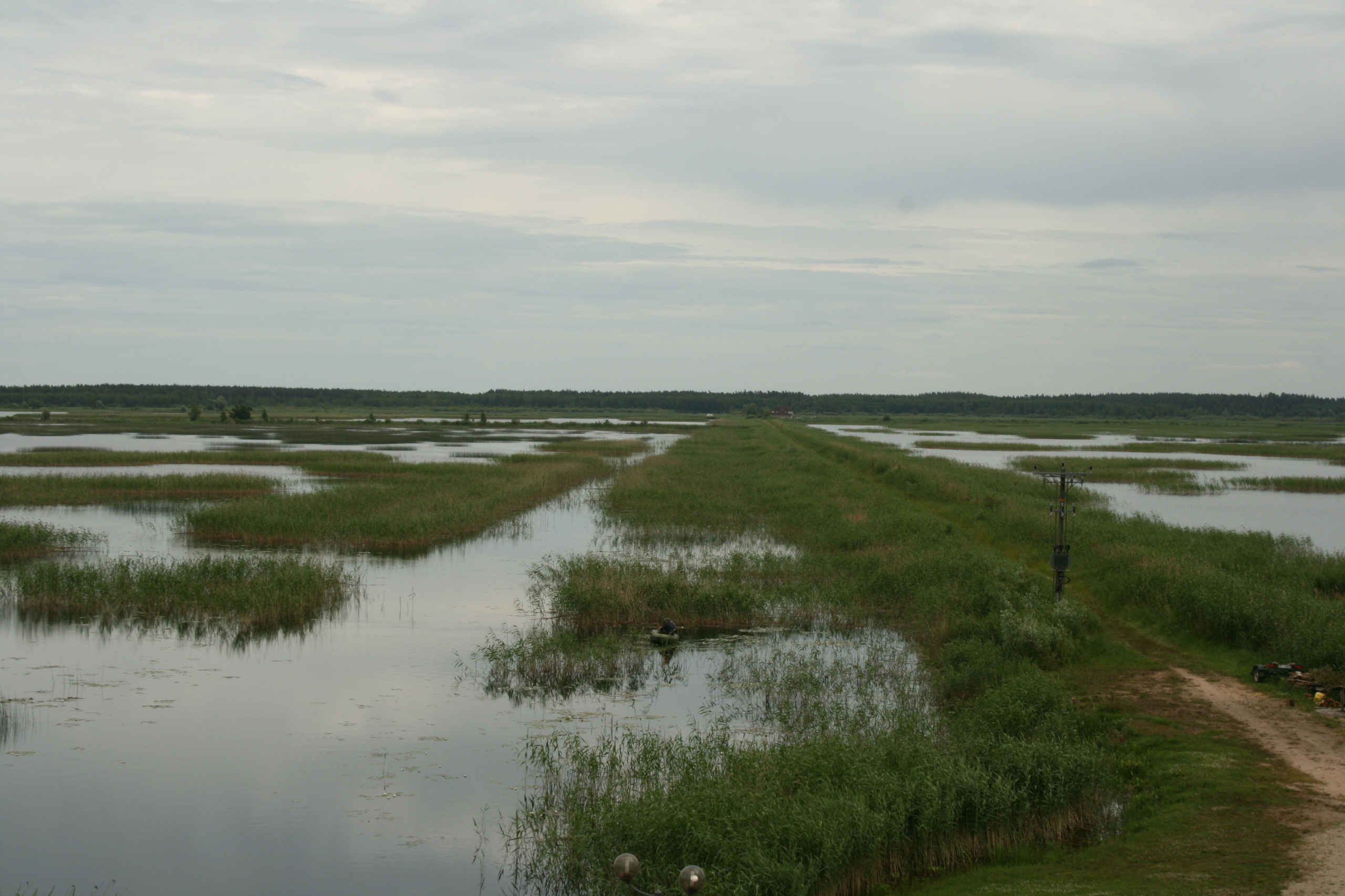 Вопрос: что делать с дачным участком на болоте