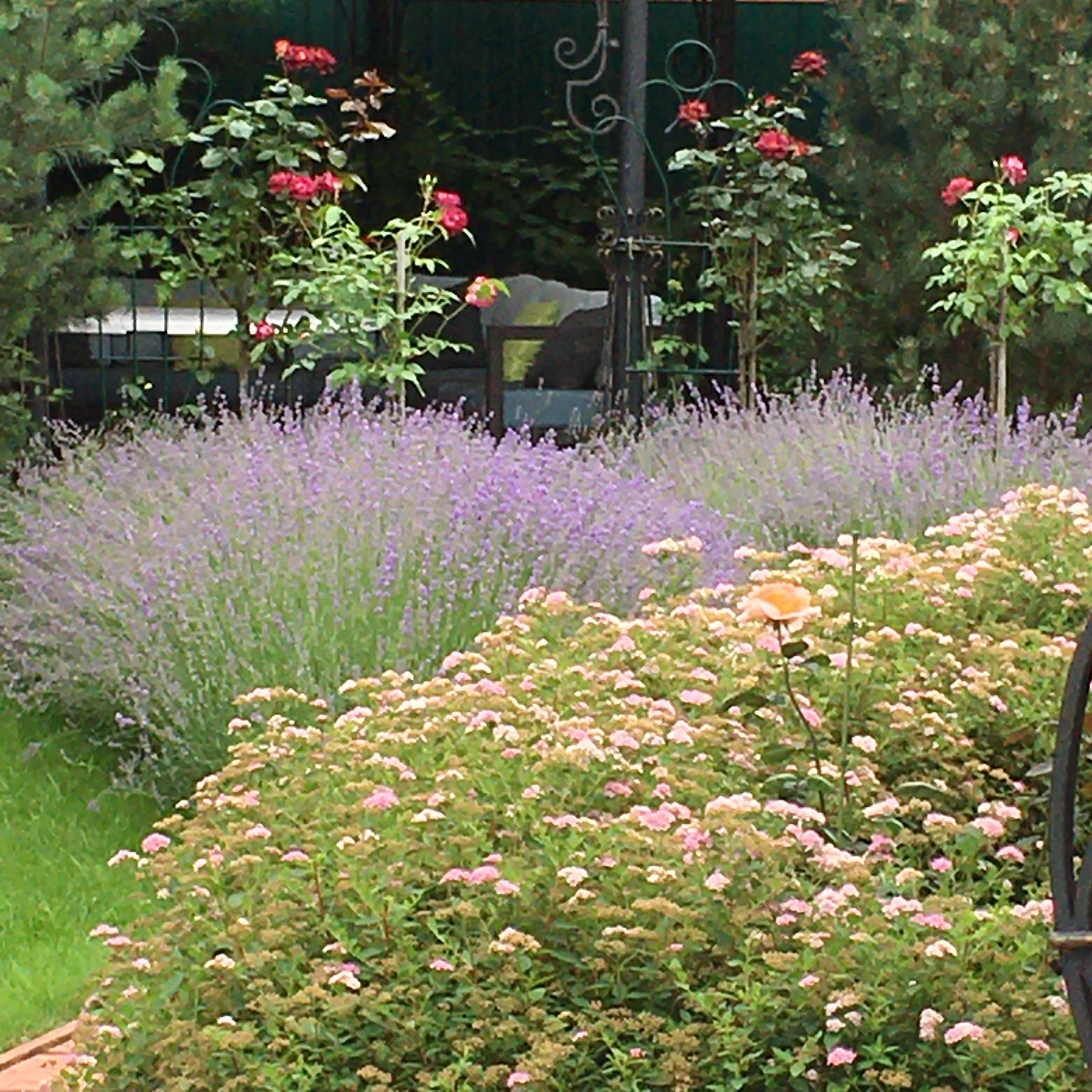 В гостях: Садик в подмосковных Рыбаках — как во Франции