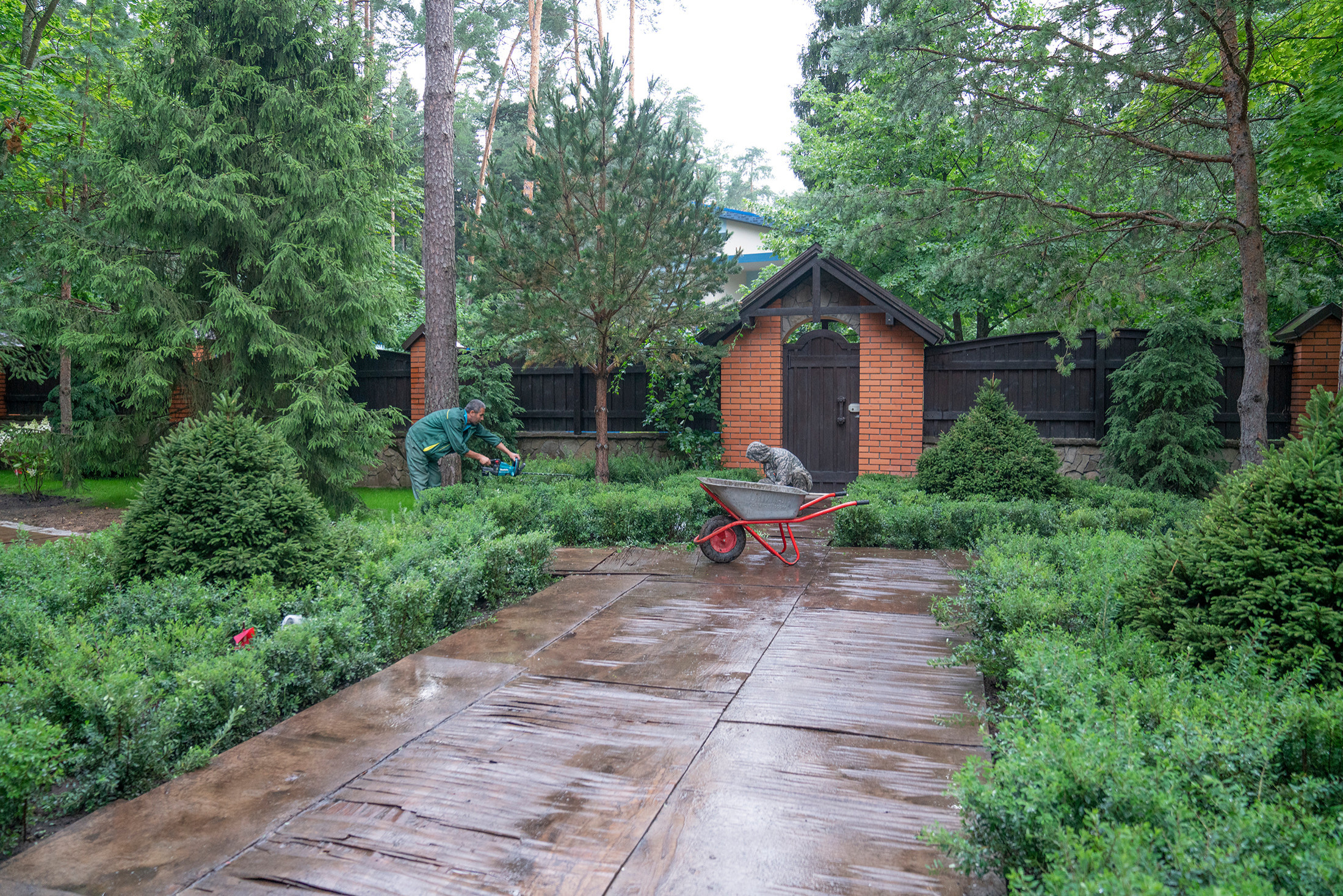 Таймлайн: 9 месяцев на реновацию сада 45 соток в английском стиле