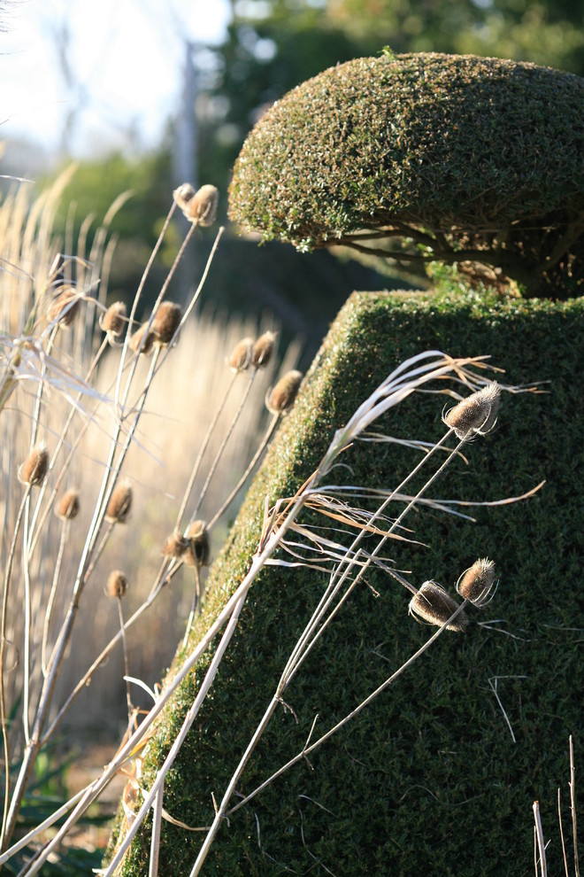 Портрет: Частные экскурсии по лучшим садам мира от центра «Гертруда»