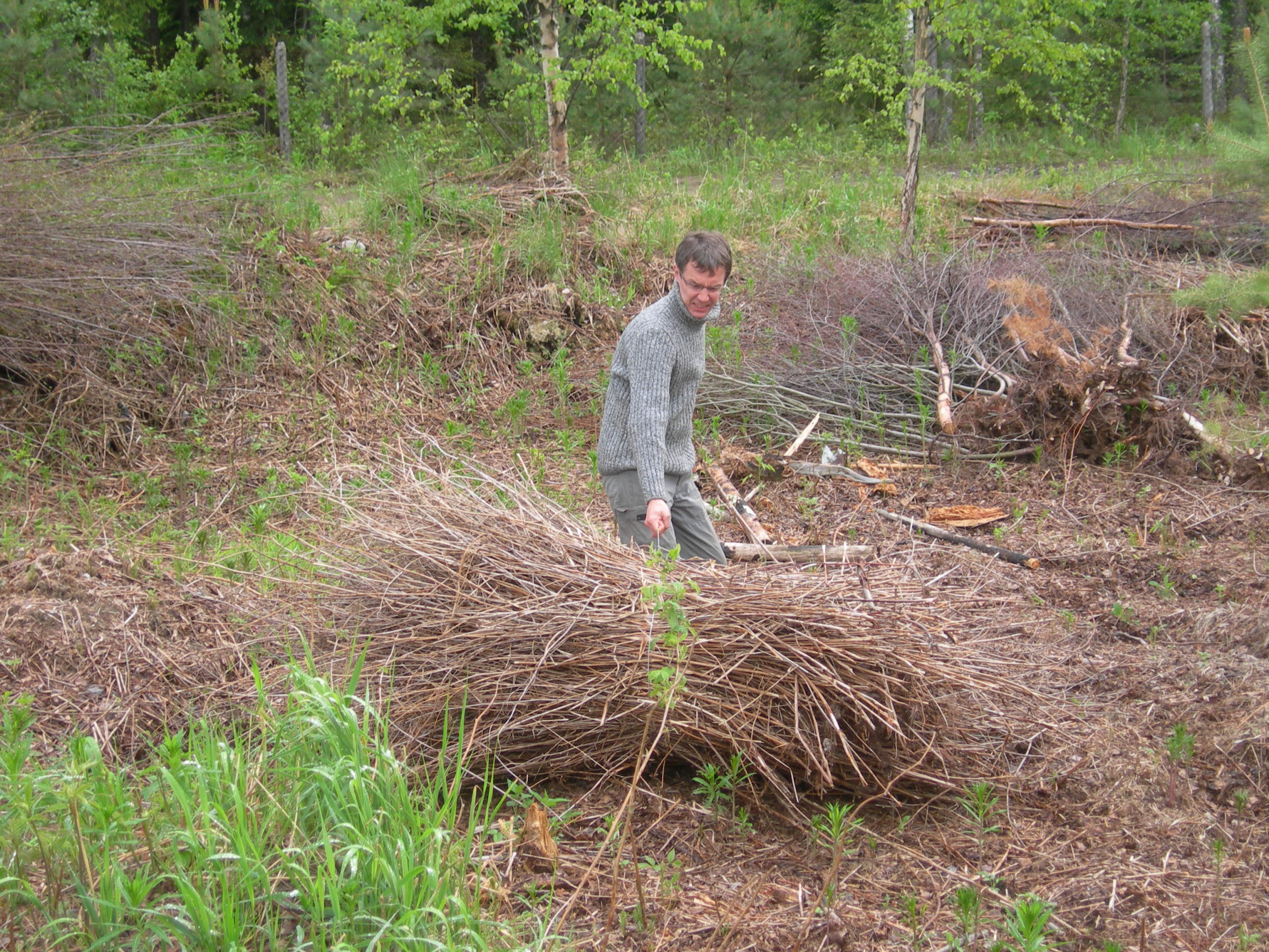 Вопрос: что делать с дачным участком на болоте