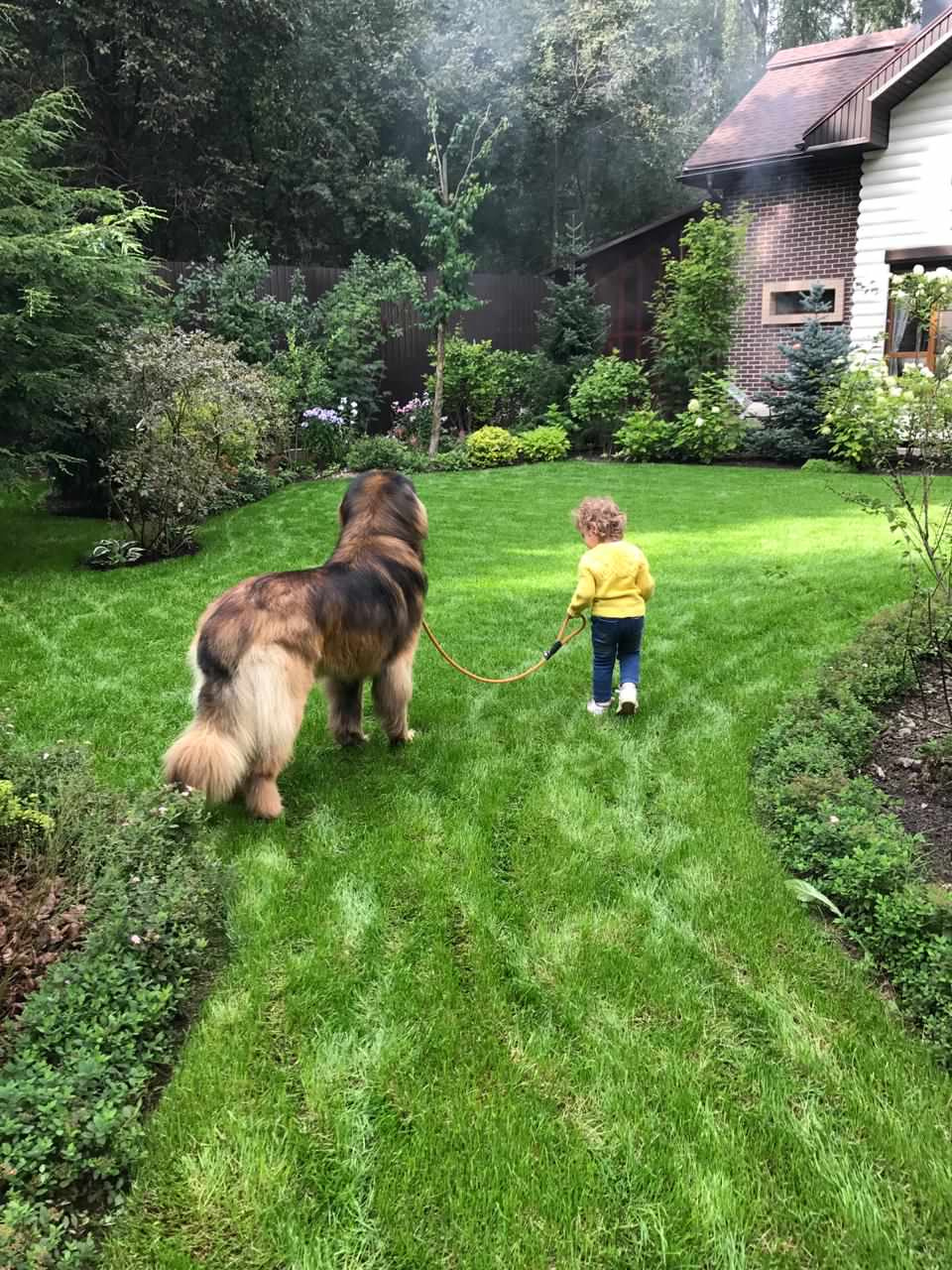 В гостях: Сад на 14 сотках, где живут круглый год