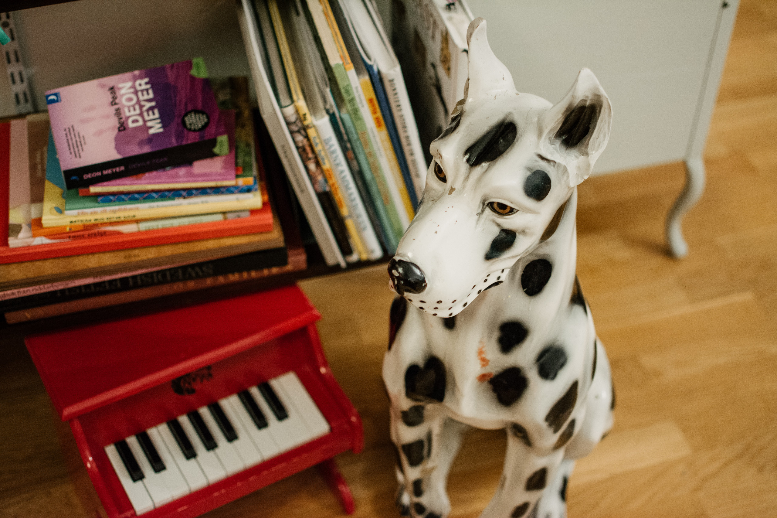 Одна комната: Как жить комфортно, если вы арендуете часть квартиры