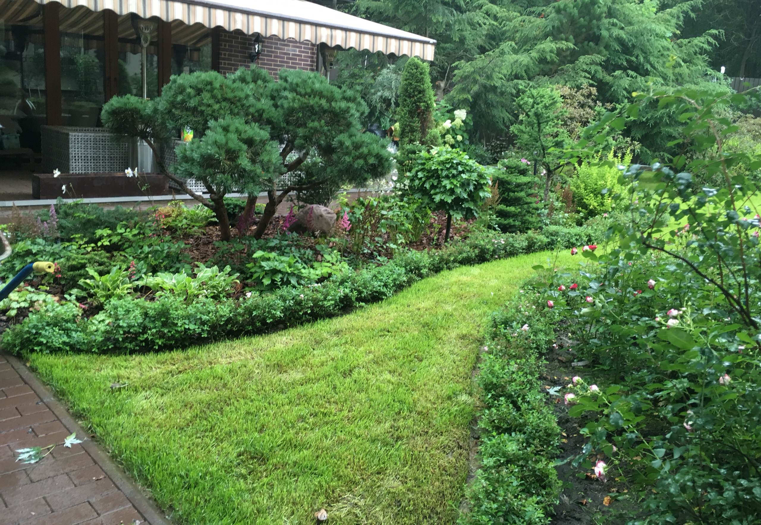 В гостях: Сад на 14 сотках, где живут круглый год