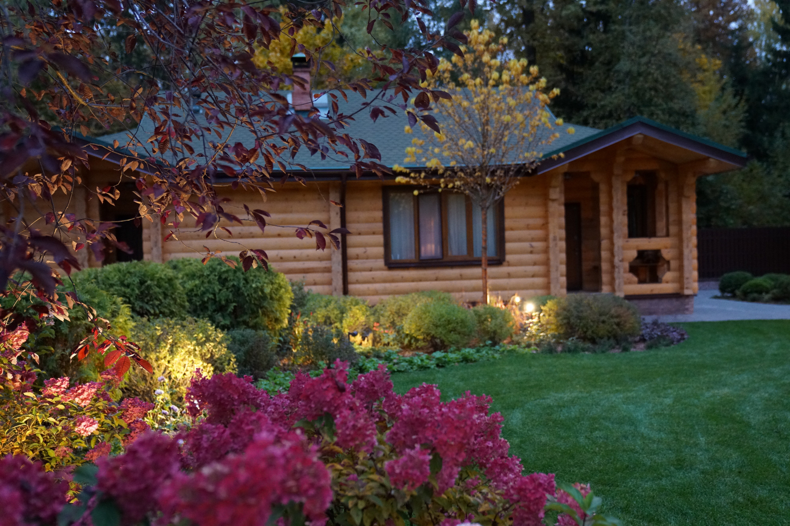 Таймлайн: 11 месяцев на реконструкцию сада 45 соток