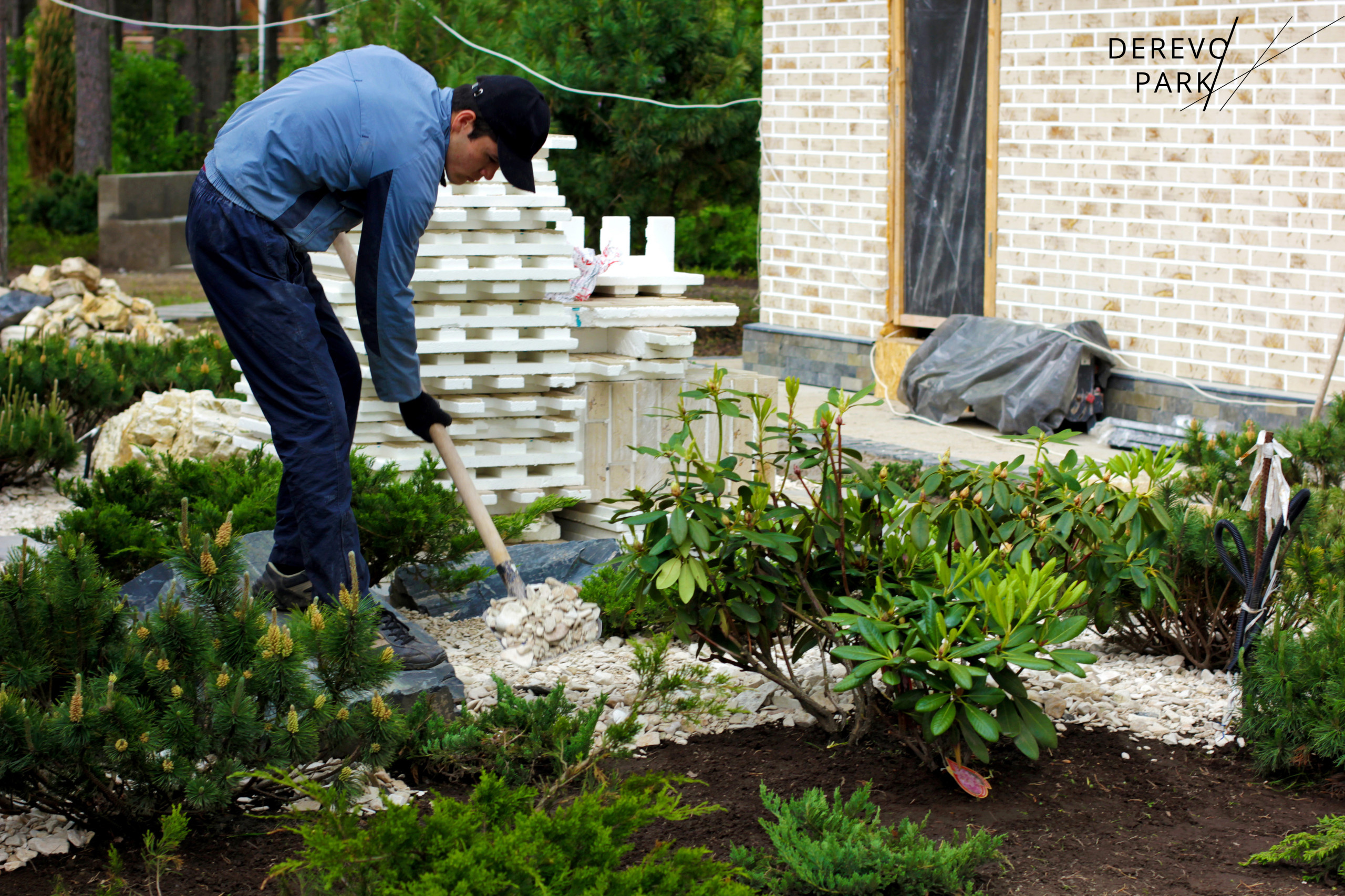 Вопрос: Что можно построить на участке осенью