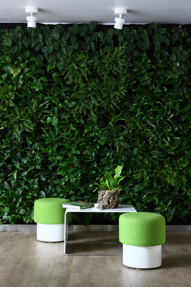 Шесть проблем, которые решает вертикальное озеленение в квартире