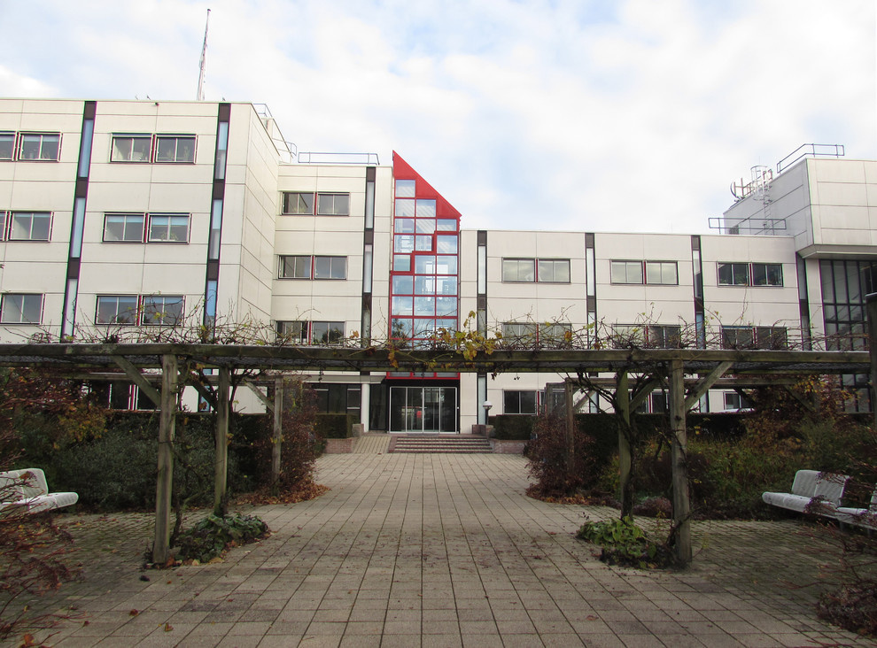 Портрет: Как делают мармолеум на фабрике в Нидерландах