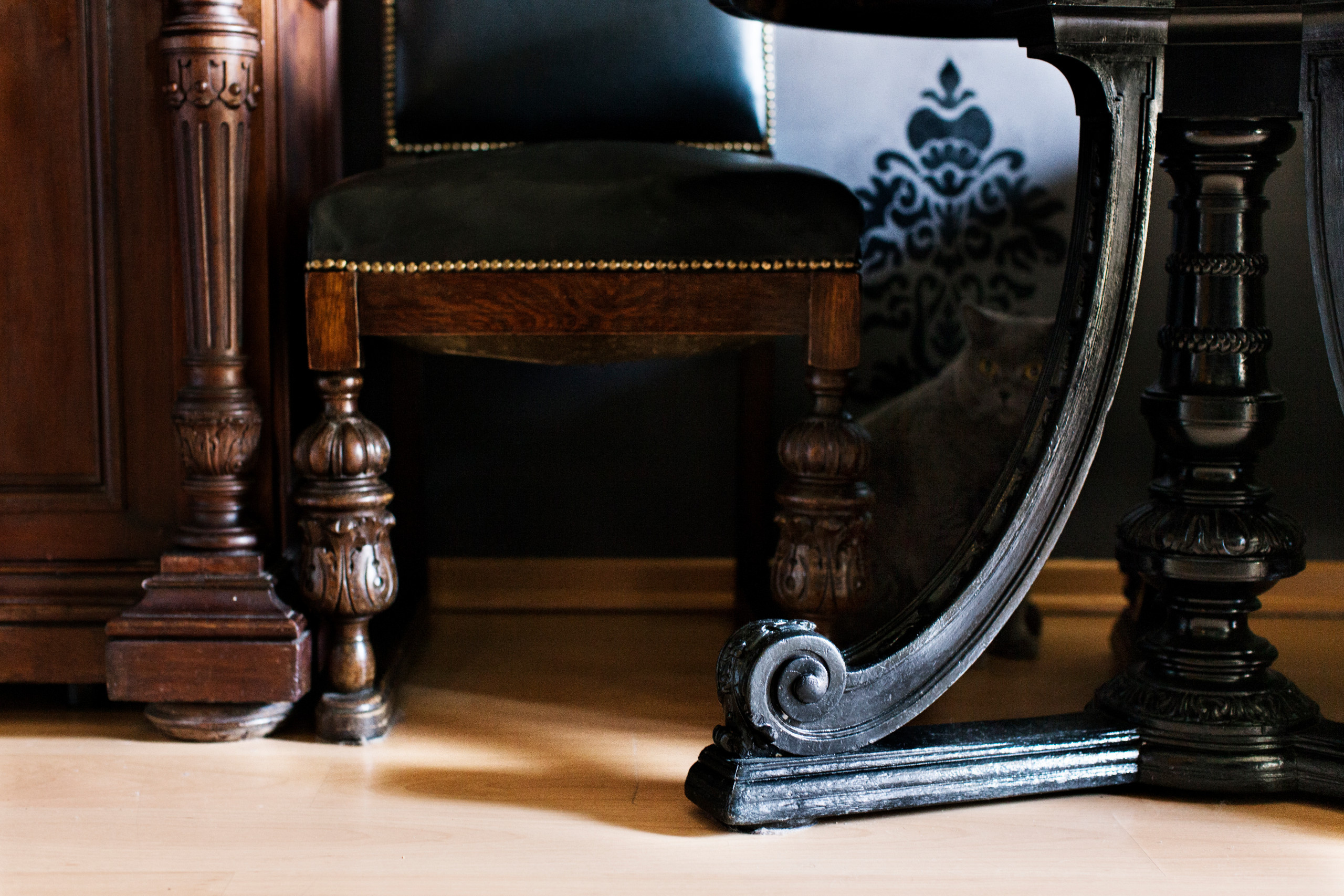 В гостях: Квартира культуролога с котами и антиквариатом