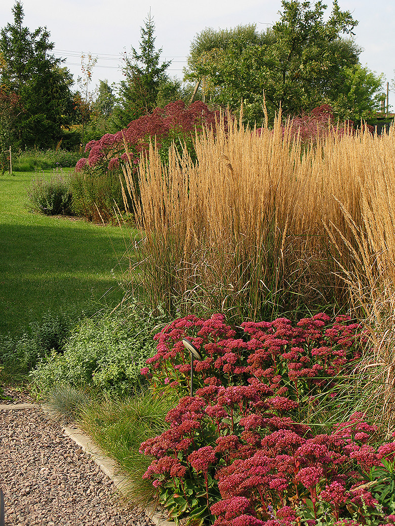 Зачем вам: Миксбордер с растениями в человеческий рост