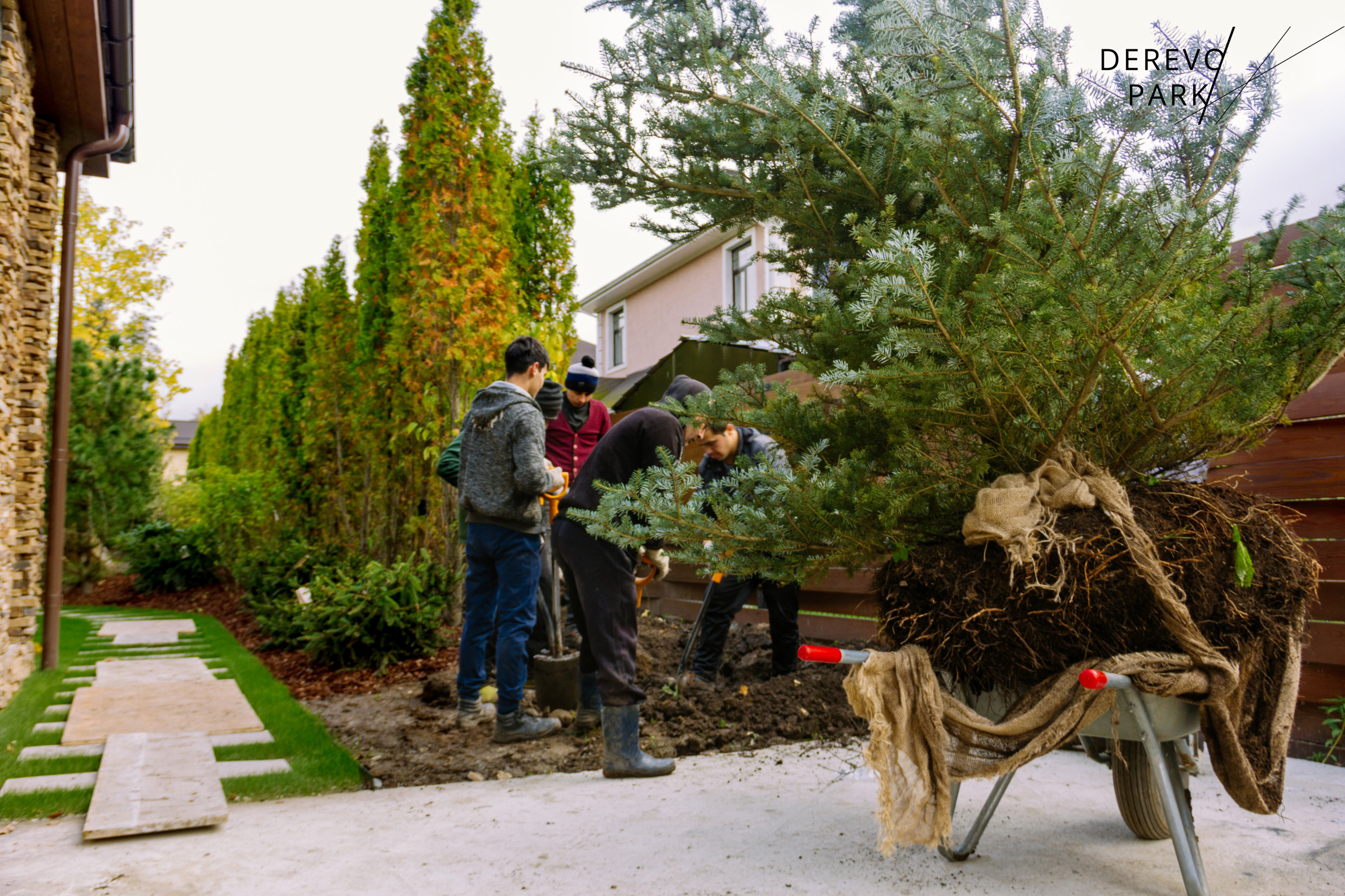 Вопрос: Что можно построить на участке осенью