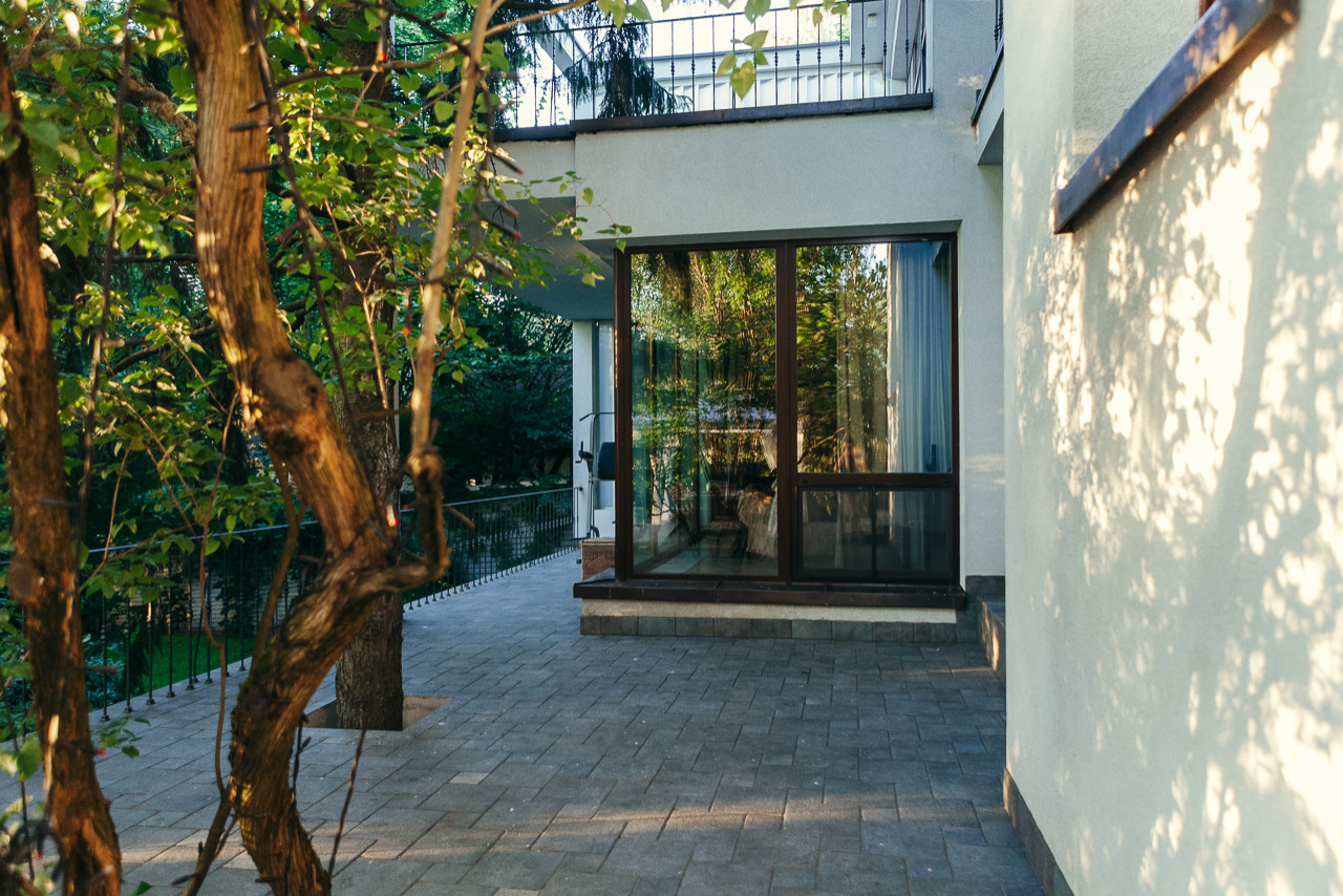 Хороший вопрос: Как спасти деревья на участке во время стройки дома