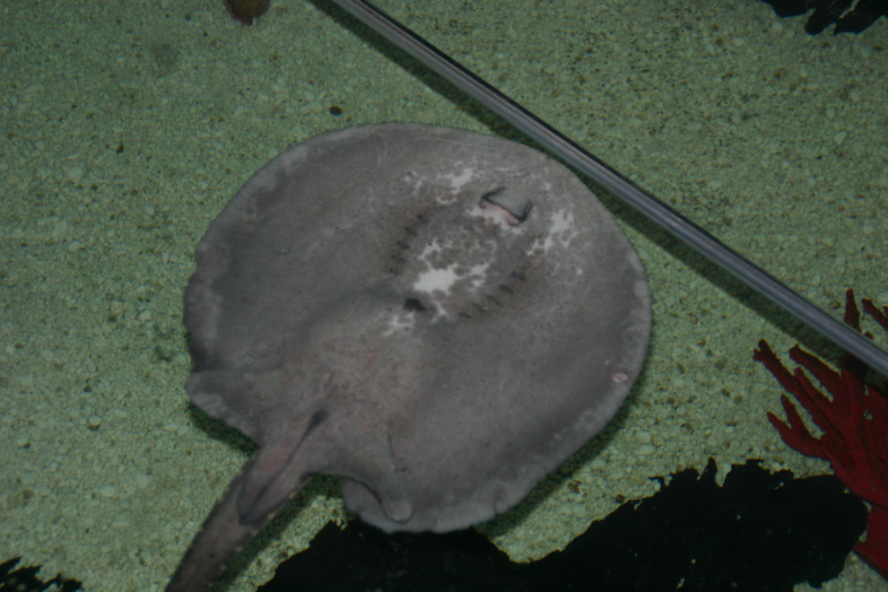 Задача дизайнеру: 6 интерьерных проектов ну прямо «как в кино»