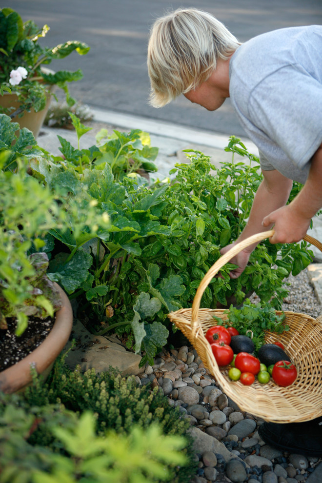 Дачная аптечка: «Скорая помощь», которая всегда с тобой
