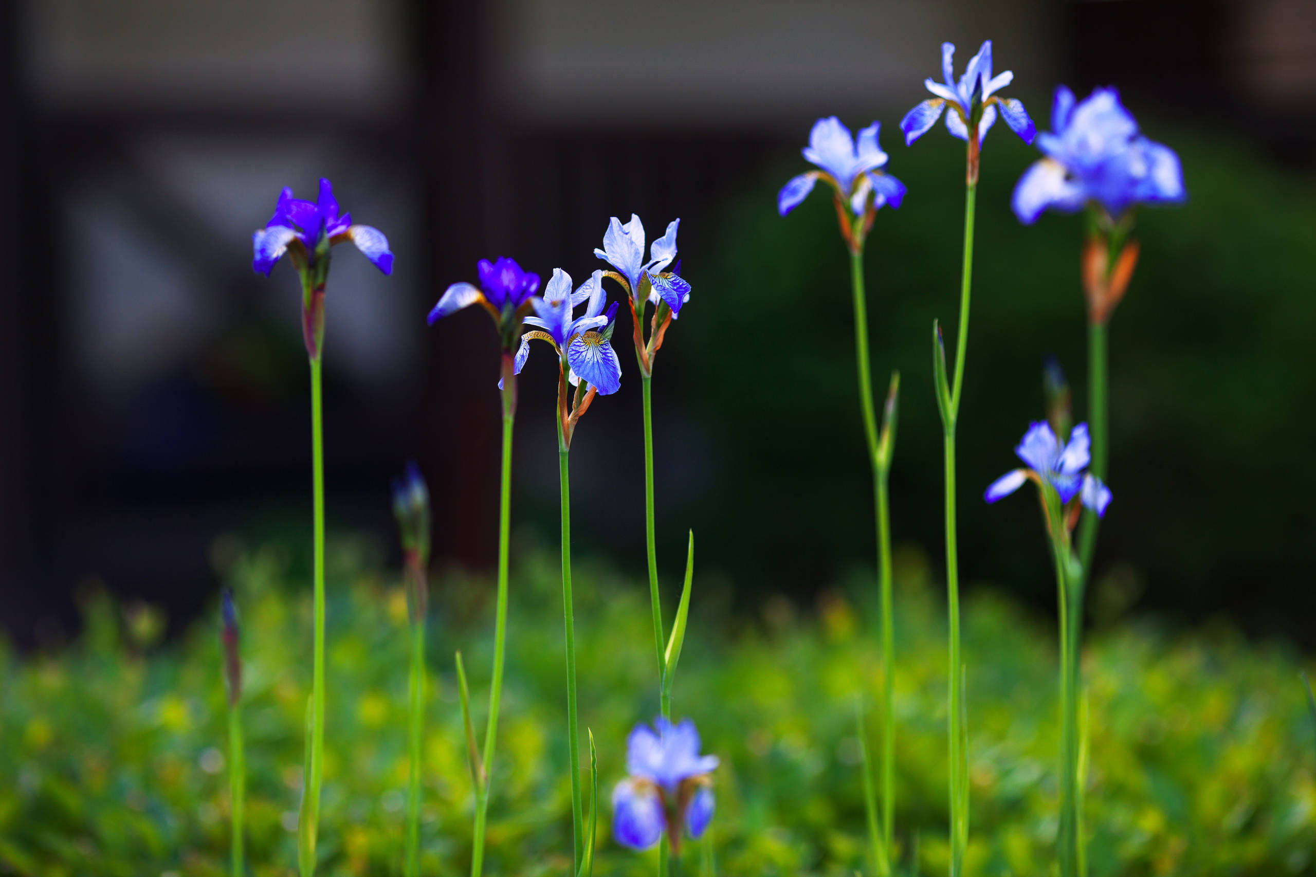 Как правильно: Отдыхать в саду, работая физически